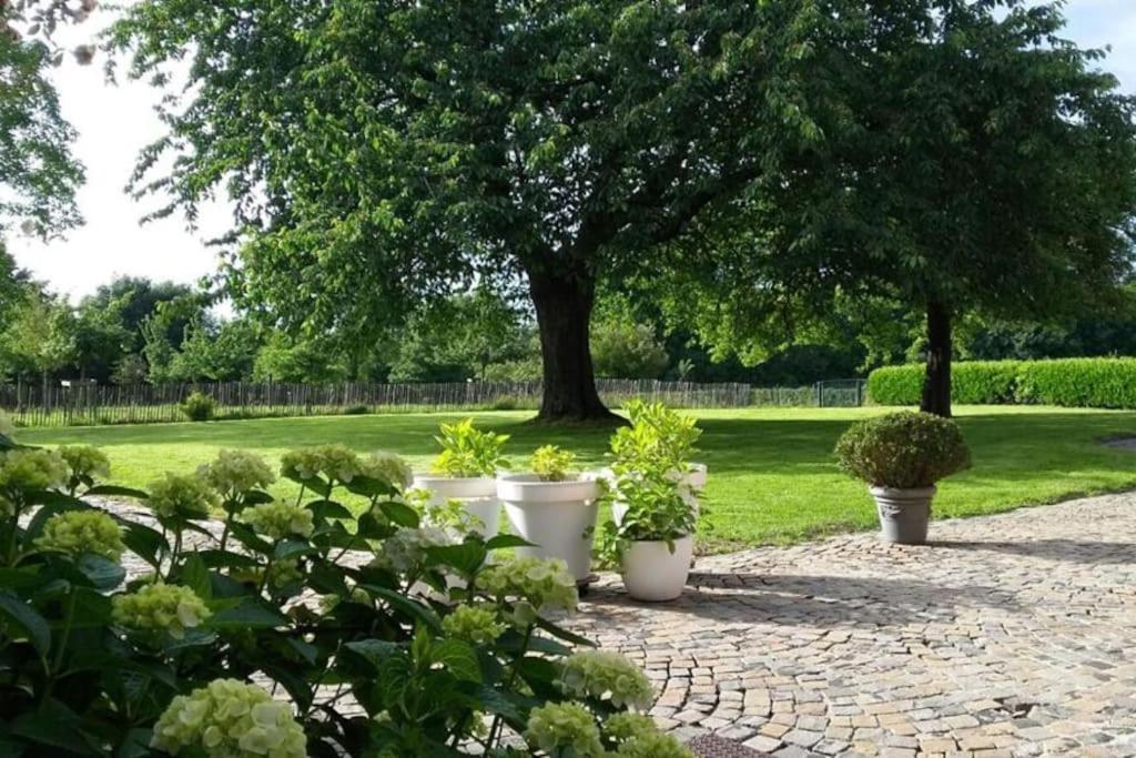 Country House Clos Des Hortensias Blegny Luaran gambar